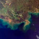 environmental protection